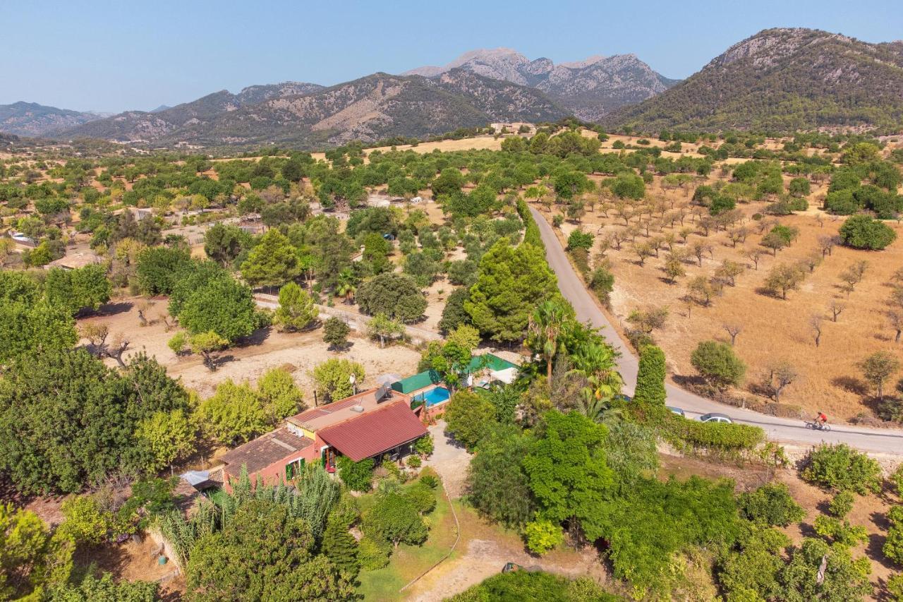 Finca Alqueria كامبانيت المظهر الخارجي الصورة